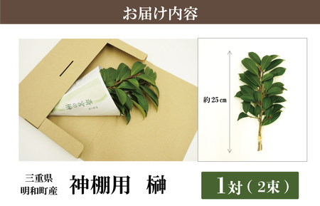 お供え 神棚 榊1対 2束 神棚用 榊 1対（2束）約25cm 神棚 さかき お供え 生花 本榊 サカキ 仏