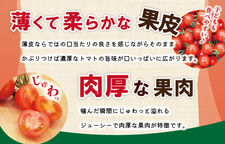 明和町産 完熟 トマト ほれまる 1kg ミニトマト 朝採り 新鮮 生鮮 野菜 あっさり