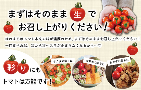 明和町産 完熟 トマト ほれまる 1kg ミニトマト 朝採り 新鮮 生鮮 野菜 あっさり