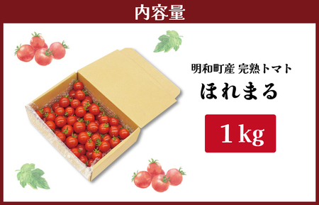 明和町産 完熟 トマト ほれまる 1kg ミニトマト 朝採り 新鮮 生鮮 野菜 あっさり