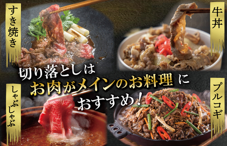 【2026年6月以降順次発送】松阪牛切り落し 1㎏ SS39