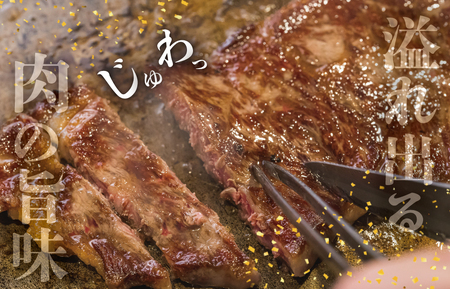 【2026年6月以降順次発送】松阪牛サーロインステーキ約200g×3枚 SS52