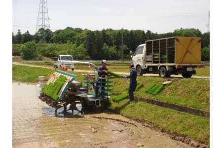 令和7年産 特選米 コシヒカリ 5kg お米 MK4