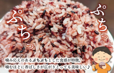 伊勢 斎宮 古代米 黒米 100g×3袋 合計300g