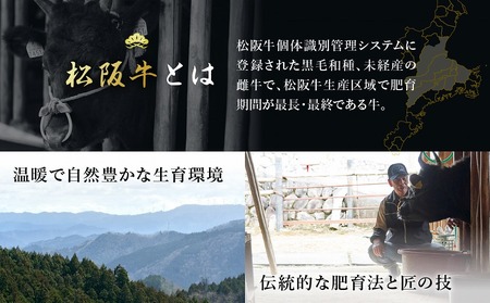 【ふるなびWEEK対象】松阪牛 切り落とし 400g 牛追道中 US4 FN-Limited-PR