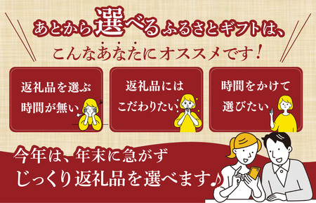 あとからセレクト　10万円　M1880