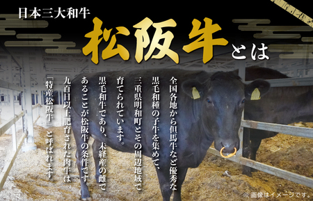 松阪牛 ホルモン ・ 松阪牛 焼肉 セット 900g 肉 牛 牛肉 和牛 ブランド牛 高級 国産 霜降り 冷凍 ふるさと 人気 焼肉用 BBQ バーベキュー モモ モモ肉 バラ バラ肉 K3