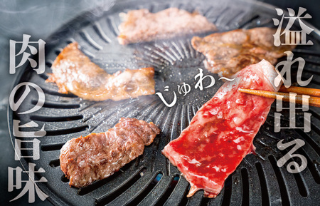  松阪牛 焼肉 【 松阪牛 ホルモン付 】 厳選部位 味比べ セット 900g 肉 牛 牛肉 和牛 ブランド牛 高級 国産 霜降り 冷凍 ふるさと 人気 焼肉用 BBQ バーベキュー 厳選 希少 食べ比べ セット ラム モモ バラ肉 赤身 ロース L3