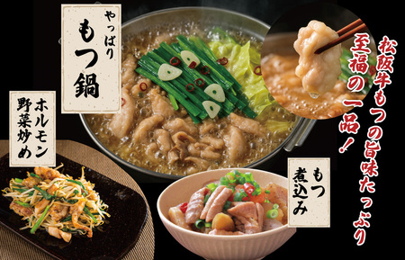 ホルモン 松阪牛 ミックス牛ホルモン500g＋味噌ダレ200g I63