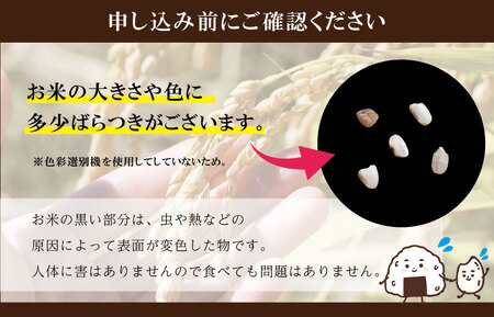 「三重県産斎王米」3㎏ 令和7年産 オリジナルブランド米 米 I68下村農園【SN1】