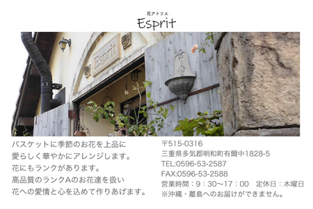 おしゃれな花ギフト 花 はな フラワー フラワーアレンジ フラワーアレンジメント 切り花 バスケット 生花 旬 季節 AF1