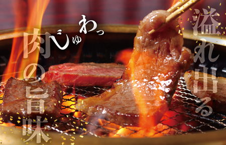 【2026年1月より順次発送】松阪牛 お家で焼肉 セット 肉 牛 牛肉 和牛 ブランド牛 高級 国産 霜降り 冷凍 ふるさと 人気 焼肉　焼肉用 BBQ バーベキュー お家焼肉 カルビ ホルモン タン 牛タン バラ バラ肉 味噌 タレ 味付 J36