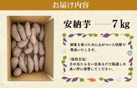 北山さんちのさつまいも 安納芋 7kg さつまいも サツマイモ 薩摩芋 いも 芋 ほくほく 産地直送 新鮮 野菜 季節の野菜 旬 直送