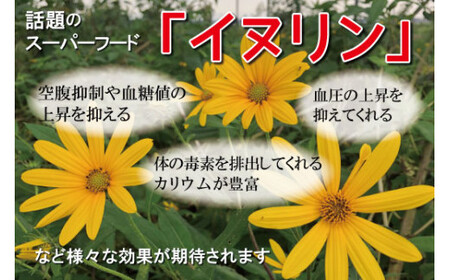 菊芋 加工品 6点セット 粉末 パウダー イヌリン 国産 糖質 有機 血糖値 体型 血圧 いも 菊芋茶 菊芋チップス SDGs エコ サスティナブル 健康 話題 農薬不使用 健康 食物繊維 野菜 ドレッシング サポート 三重県産