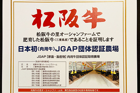 特選松阪牛特上霜降りローストビーフ特製ソース付き（約300g）【焼肉和牛料理　金竹】おうちでふるなび美食体験 FN-Limited632352