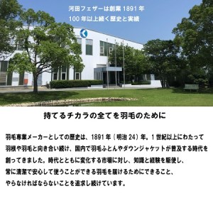 【河田フェザー】 国産 羽根クッション 低反発 高反発 座布団 クッション 羽根 ホワイト 日本製 大きい おおきめ カバー セット おしゃれ kawada 河田フェザー 正規品 癒し やすらぎ 高級 C-45