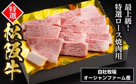 SS01 松阪牛焼肉（特選ロース） 500ｇ／（冷凍）ギフト箱包装 瀬古食品
