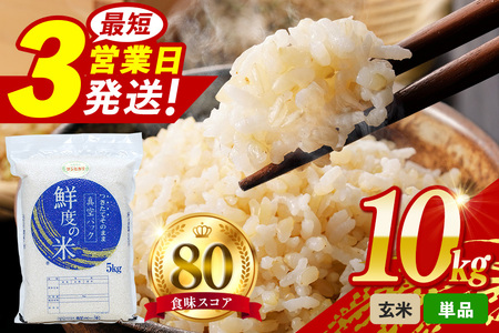 こしひかり 玄米 10kg 真空パック（5kg×2P) A17-013