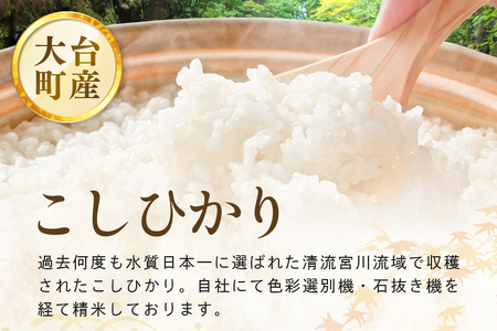 【定期便3回】こしひかり 精米 5kg (計15kg) 真空パック A17-014