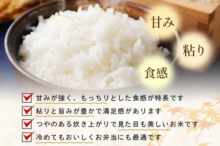 【定期便3回】こしひかり 精米 5kg (計15kg) 真空パック A17-014