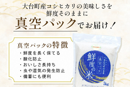 【定期便3回】こしひかり 精米 5kg (計15kg) 真空パック A17-014