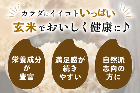 【定期便6回】こしひかり 玄米 5kg (計30kg) 真空パック A17-018
