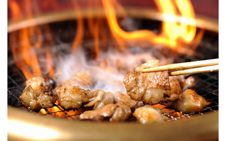 松阪牛味付ホルモンミックス 300g×3P／ 冷凍 瀬古食品 JGAP認定 松阪肉 名産 お取り寄せグルメ 牛肉 お肉 肉 和牛 黒毛和牛 国産 国産牛 松阪牛 ブランド牛 ホルモン 焼肉 ご自宅用 家庭用 ギフト 贈答用 産地直送 松阪 牛 三重県 大台町 (212)