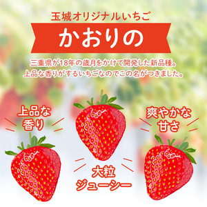【2026年1月～3月発送】三重県玉城産 いちご 「かおりの」 12粒入り
