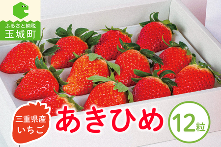 【2026年1月～3月発送】三重県玉城産 いちご 「章姫」12粒入り