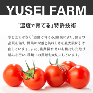 HOLY TOMATO JUICE 2本セット[ トマトジュース トマト 2本 糖度 11～13  贈り物 ギフト yuseifarm 株式会社佑成産業 三重県 玉城町]