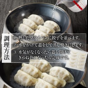 松阪牛餃子と松阪牛肉まんのセット