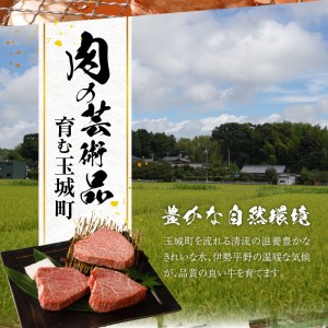 玉城町産 松阪牛サイコロステーキ[ 肉 牛肉 松阪牛 国産 ステーキ モモ バラ サイコロ 400g 贈り物 ギフト ブランド牛 高級 和牛 日本三大和牛 旨味 厳選 冷凍 家庭用 三重県 玉城町産 ミライエ 小林牧場]