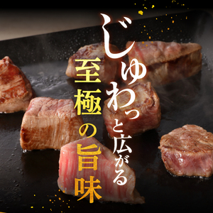 玉城町産 松阪牛ヒレステーキ(不揃い）[松阪牛 肉 牛肉 国産 ヒレ ステーキ 不揃い ブランド牛 高級 和牛 日本三大和 400g 赤身 冷凍 ミライエ 小林牧場 贈り物 ギフト プレゼント 記念日 家庭用 三重県 玉城町産]