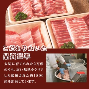 玉城豚BBQセット[玉城豚 ロース 肩ロース バラ ドイツ ウィンナー 肉 豚肉 BBQ 贈り物 ギフト お弁当 セット 焼肉 味噌たれ ミエマン 玉城町 三重県 ふるさと味工房アグリ]