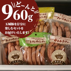 玉城豚ドイツウインナー+いろいろセット[玉城豚 ウィンナー 肉 豚肉 BBQ キャンプ ドイツ 絹挽き 粗挽き 食べ比べ  お弁当 セット 160g 6袋 960g 玉城町 三重県 玉城アクトファーム]