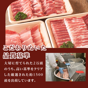 玉城豚ロースとんてきセット[玉城豚 ロース 肉 豚肉 とんてき セット BBQ 焼肉 150g 4枚 600g とんてきのタレ オリジナル ミエマン 玉城アクトファーム 三重県 玉城町]