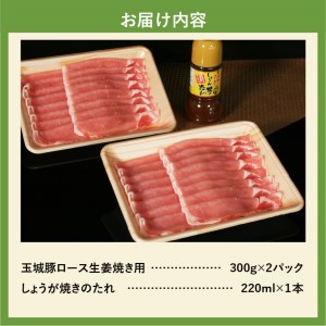 玉城豚ロース生姜焼きセット[玉城豚 ロース 肉 豚肉 生姜焼き タレ オリジナル 焼肉 BBQ お弁当 セット 300g 2パック 600g ミエマン 220ml 玉城町 三重県 玉城アクトファーム]