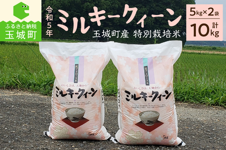 令和5年ミルキークイーン5kg×2（令和5年 米 お米 ミルキークイーン 白米 特別栽培米 精米 ミルキークイーン お米 白米 国産ミルキークイーン  お米 白米 ミルキークイーン 玉城町ミルキークイーン お米 白米 ミルキークイーン）