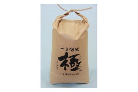 奉納米 コシヒカリ 極 10kg 玄米 ／ 一之瀬農業 上質 お米 極み 度会町 伊勢志摩