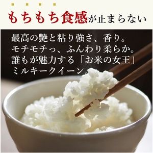 《先行予約 ９月中旬より順次発送予定》 令和6年産 新米 ミルキークイーン 精米 20kg ／ おんじ屋 お米 白米 三重県 度会町 伊勢志摩