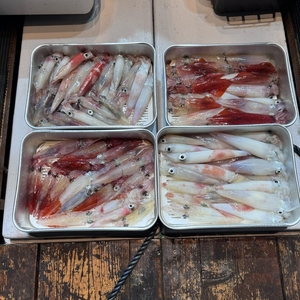 翔吉丸 遊漁船乗船券 乗り合い 1回分 イカメタル・バチコン （半夜便） ／ チケット 釣り フィッシング アウトドア 水洗トイレ 生簀 魚群探知機 探知丸 ロッドフォルダー 三重県 大紀町