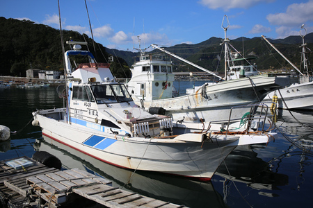 喜盛丸　遊漁船乗船券　乗り合い　1回分／錦の海　釣り　ルアーフィッシング　アウトドア　三重県　大紀町