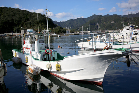 喜盛丸　遊漁船乗船券　乗り合い　1回分／錦の海　釣り　ルアーフィッシング　アウトドア　三重県　大紀町