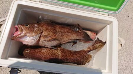 喜盛丸　遊漁船乗船券　乗り合い　1回分／錦の海　釣り　ルアーフィッシング　アウトドア　三重県　大紀町