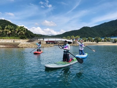 SUPクルージング　チケット（4名分）／地域活性化協議会　ふるさと納税　体験　アウトドア　三重県　大紀町