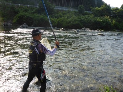 鮎　遊漁券　年券　1種／大内山川漁業協同組合　釣り　友釣り　川釣り　アウトドア　大紀ブランド　三重県　大紀町