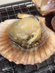 ヒオウギ貝10個入（加熱用）【GWGG693】