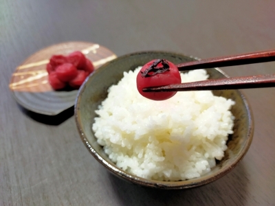 梅干し 計400g 無添加 塩分18％ 梅干し