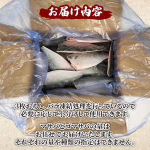 【4月以降発送】 訳あり 無塩サバ フィレ 4kg さば 鯖