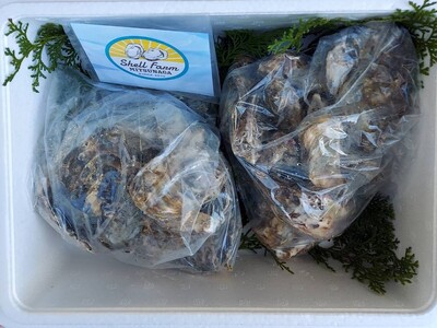 冷蔵 殻付き 訳あり牡蠣 1.7kg